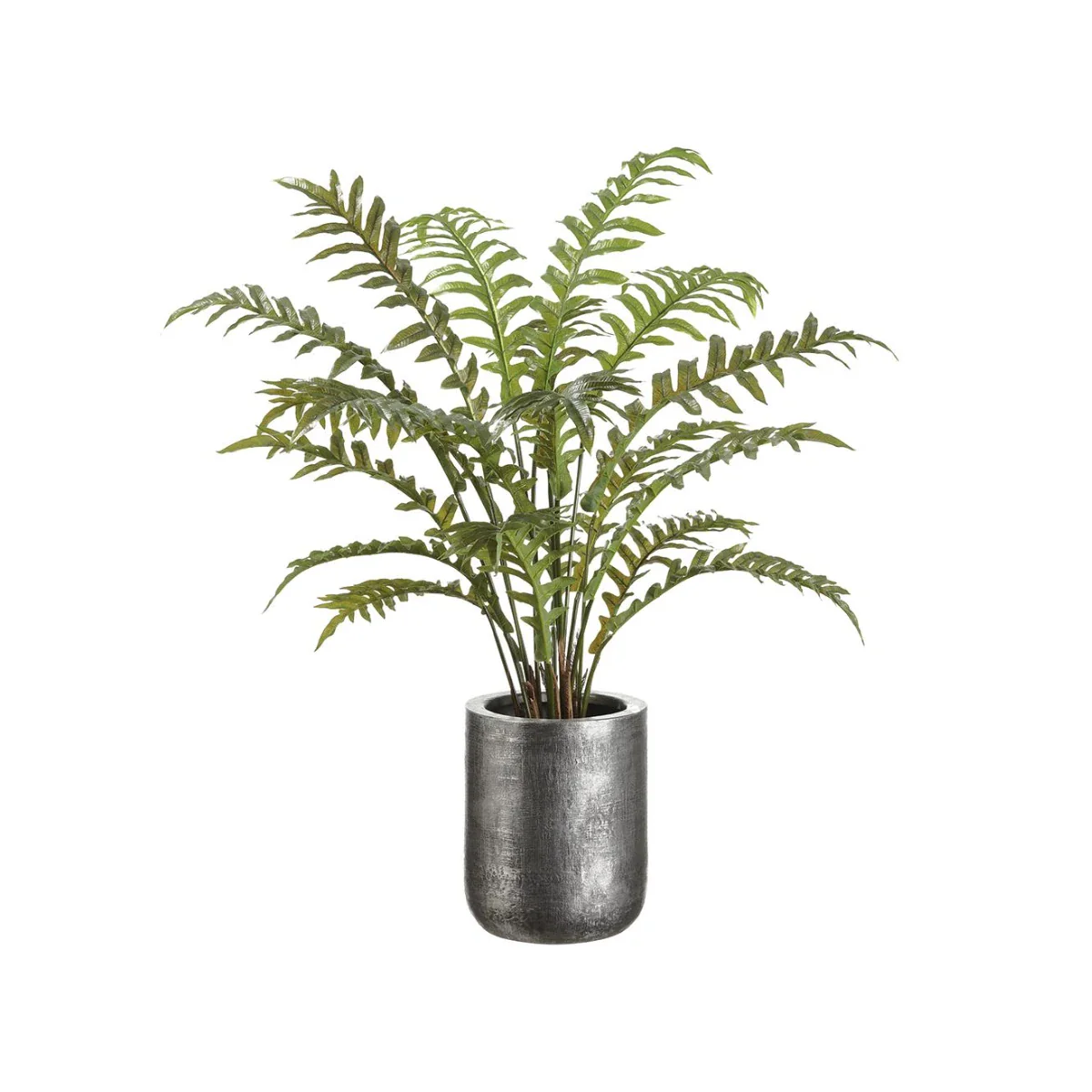 45" Fern in Zinc Planter