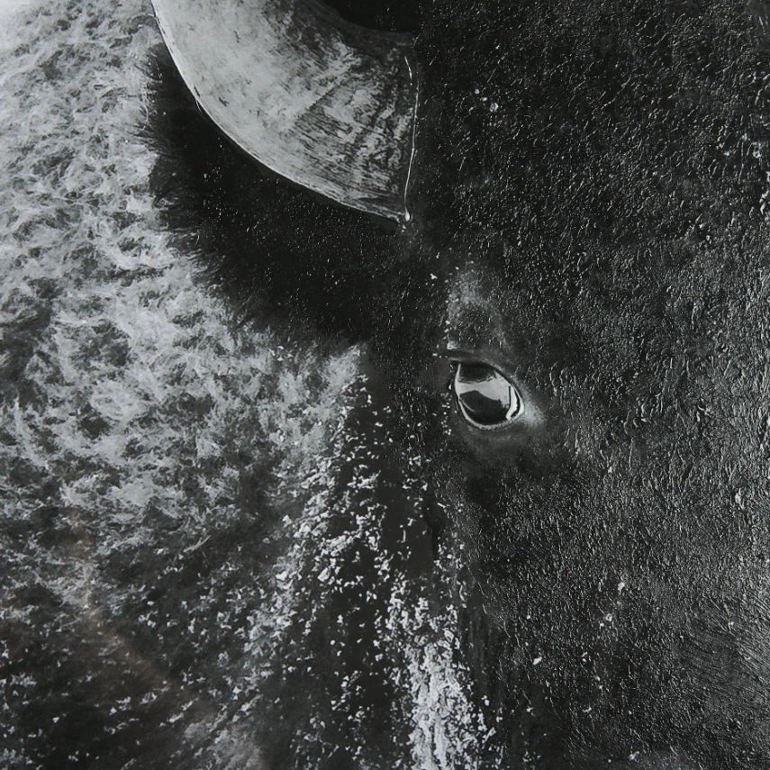 A Struggle Wall Art - Image 4