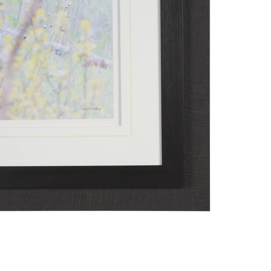 A Watchful Bond Wall Art - Image 7