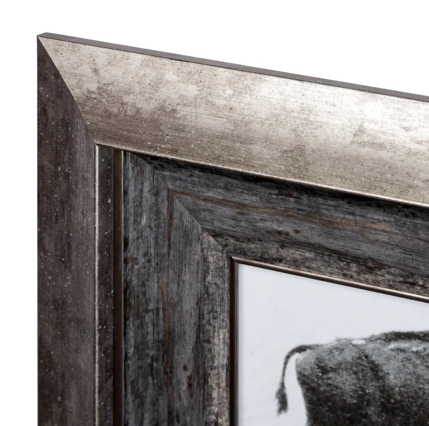 Animal Negatives Framed Artwork - Image 3