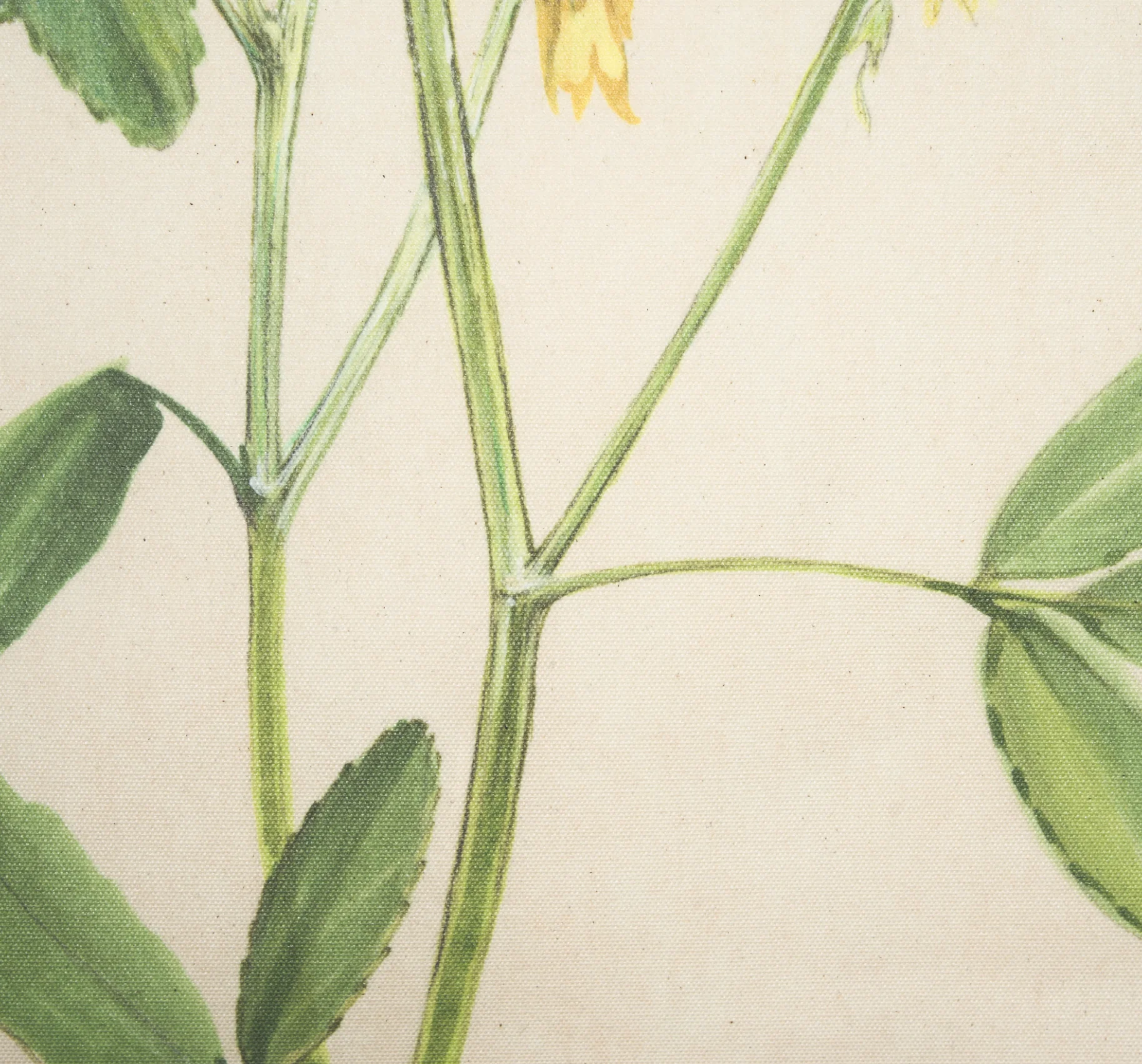 Botanical Study Wall Hanging - Image 3