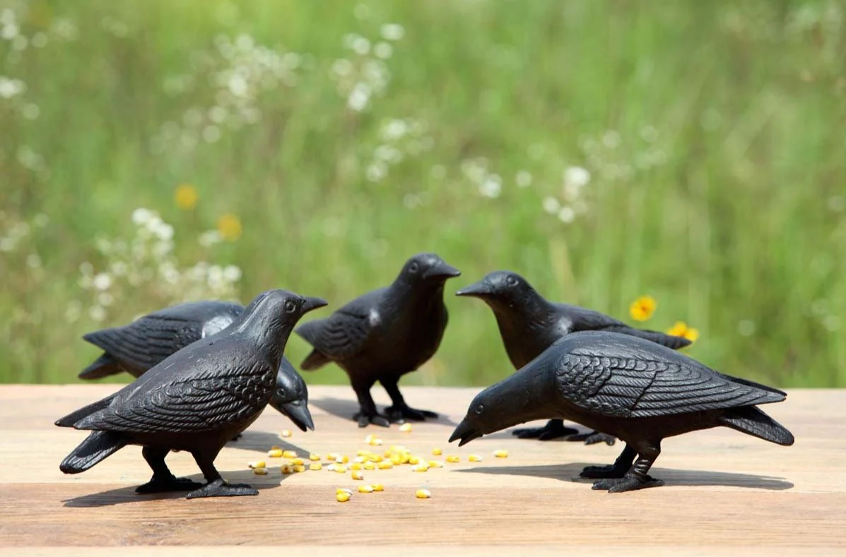 Cast Iron Crows - Image 2