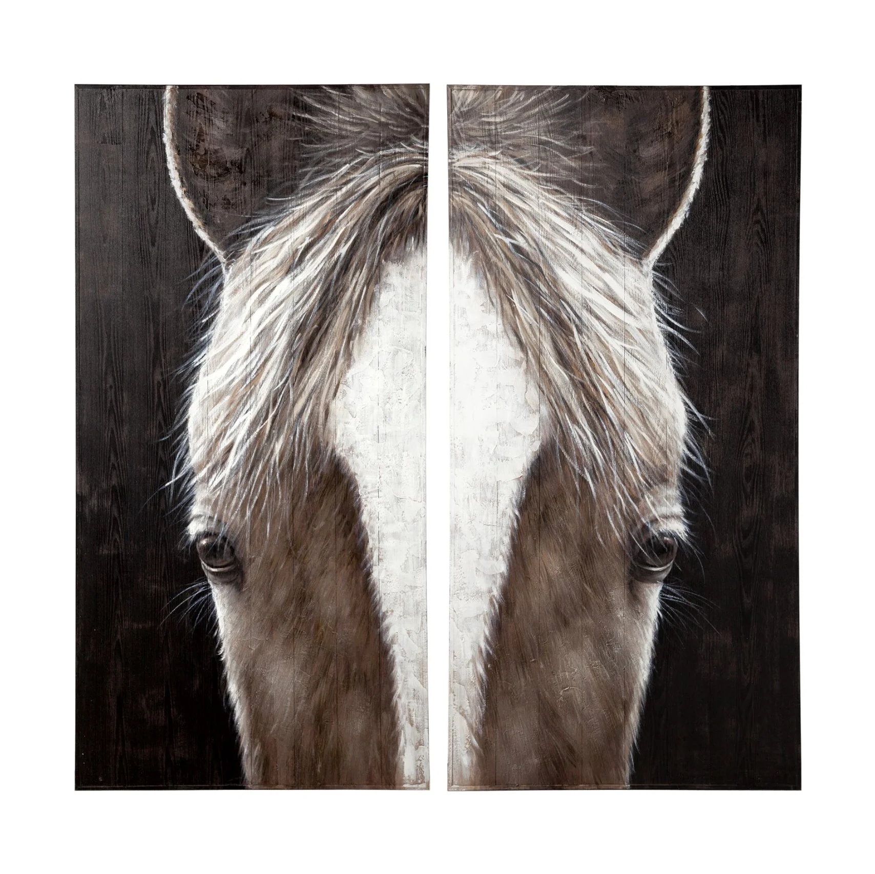 Equus Diptych Framed Art