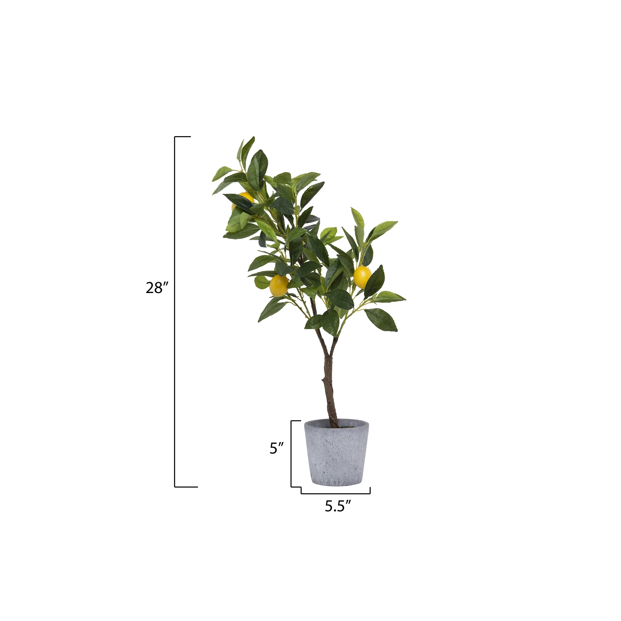 14" Faux Lemon Tree in Cement Pot - Image 3
