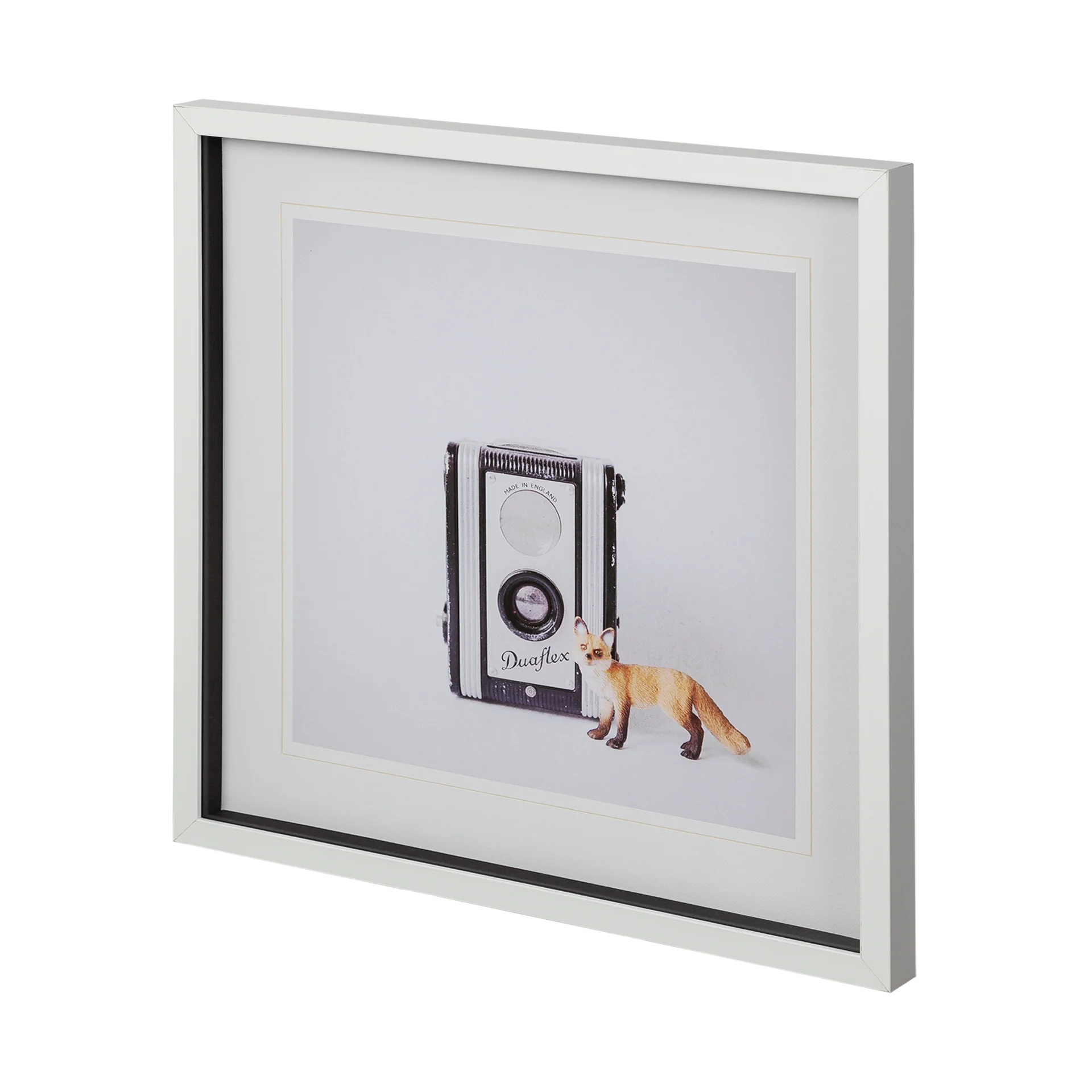 Fox & Vintage Camera