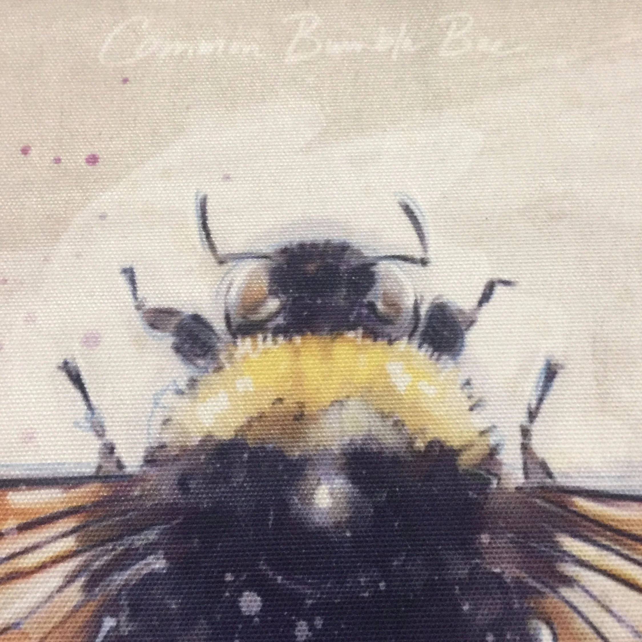 Framed Bee Prints - Image 4