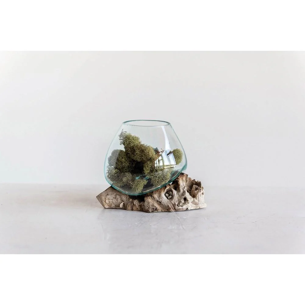 Glass Planter with Wood Base - Image 3