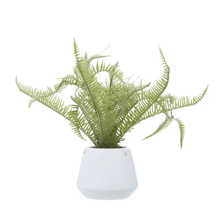 Green Faux Fern with White Ceramic Pot - Image 3