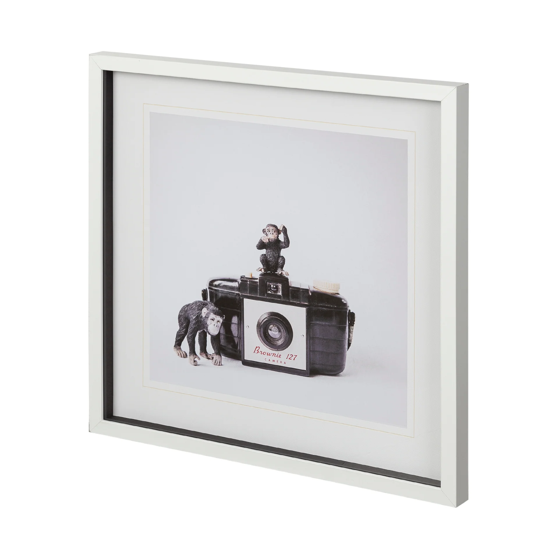 Monkeys & Vintage Camera