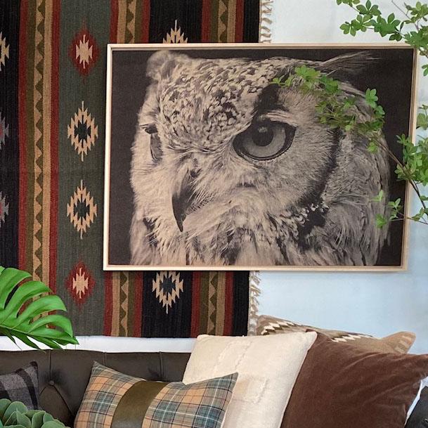 Owl Framed Artwork - Image 2