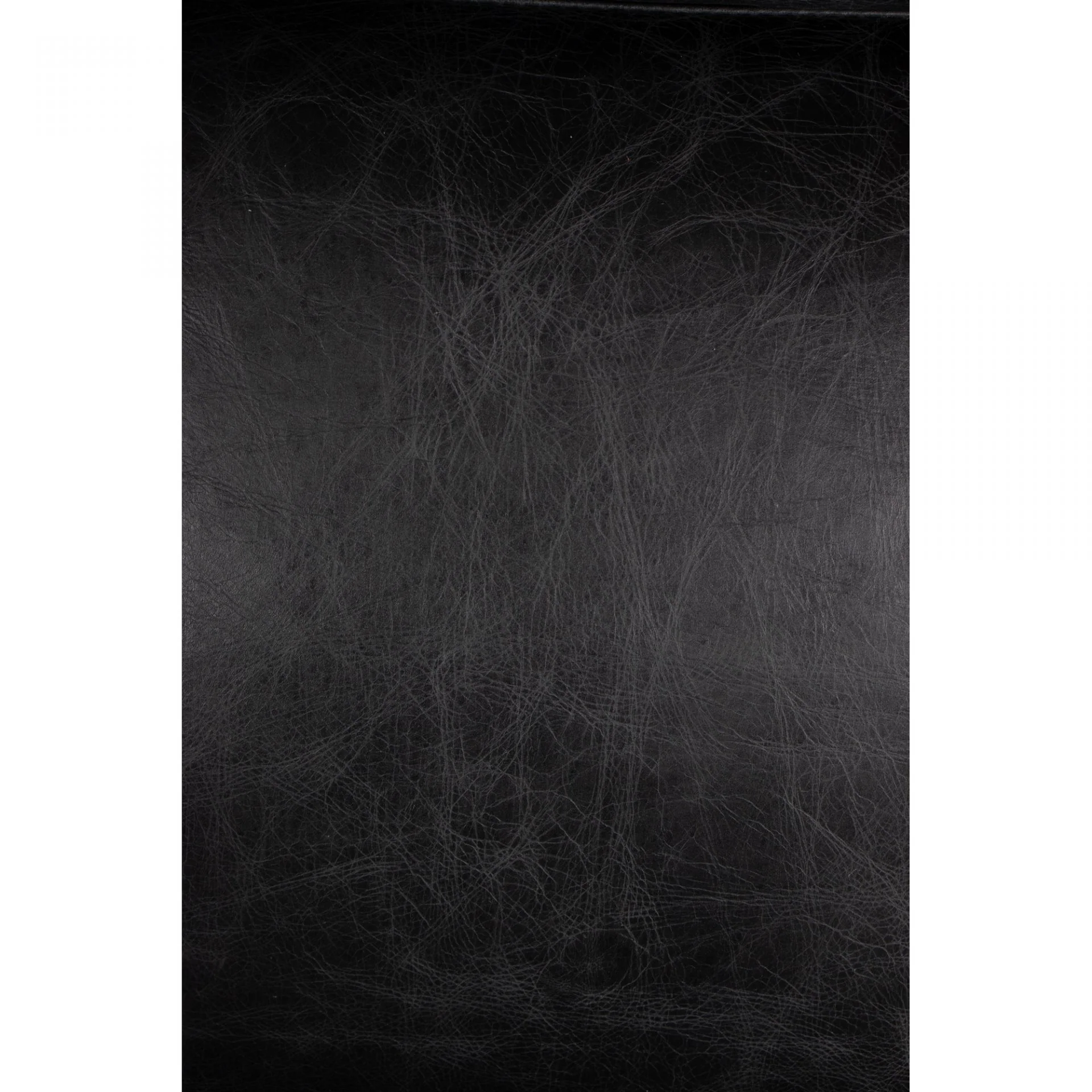 Paradiso Chair - Image 7