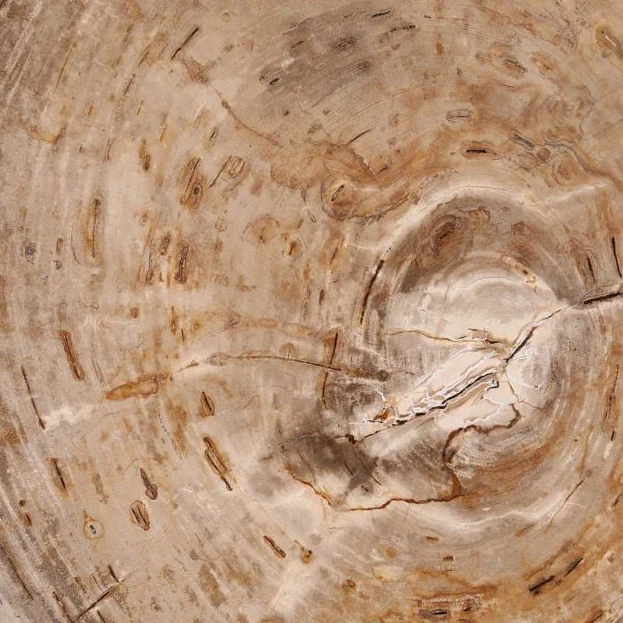 Sampson Coffee Table - Image 6