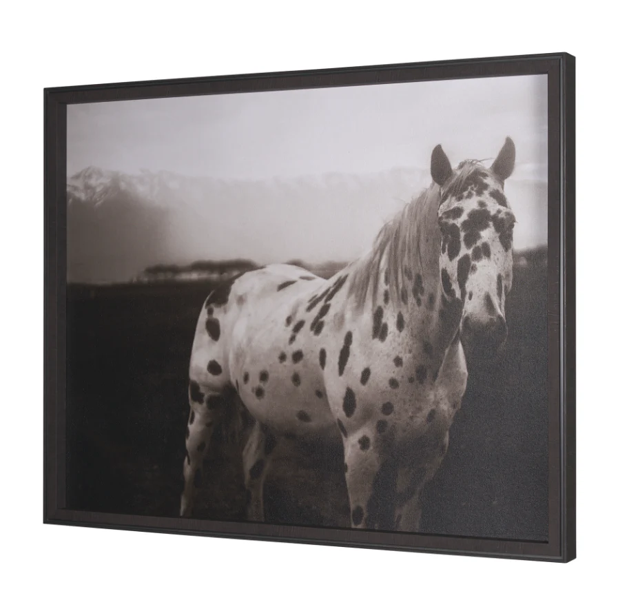 Spotted Solo Framed Art Print - Image 2