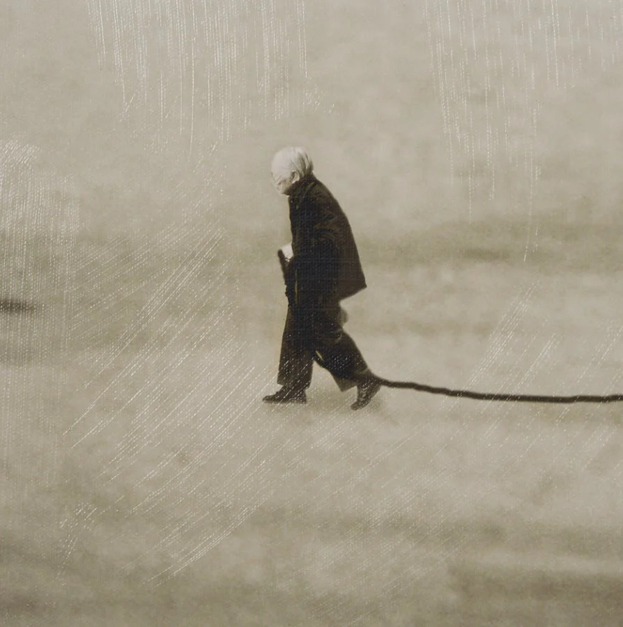The Walk - Image 4
